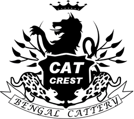 CAT CREST -キャットクレスト-　ベンガル猫のキャッテリー