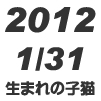 2012年1月31日生まれの子猫 2012年1月31日生まれの子猫