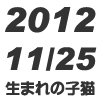 2012-11-25生れの子猫 2012-11-25生れの子猫