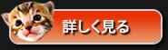 詳しく見る